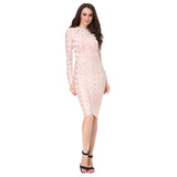 Long Sleeve Studded Button Olive Mesh High Neck Dress