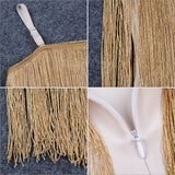Mini  Sexy Fringe Tassel Embellished Women Dress