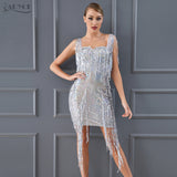 Elegant Sequins Embellished Fringe Runway Dress