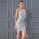 Elegant Sequins Embellished Fringe Runway Dress