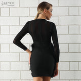 Feather Embellished Long Sleeves Dress