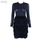 Feather Embellished Long Sleeves Dress