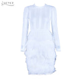 Feather Embellished Long Sleeves Dress
