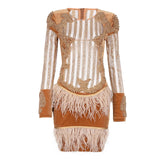 Beading Sequin Feather O-Neck Mesh Long Sleeve Runway Dress