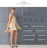 Mini  Sexy Fringe Tassel Embellished Women Dress