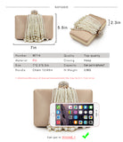 NATASSIE Pearl Tassel Women Clutch Bag
